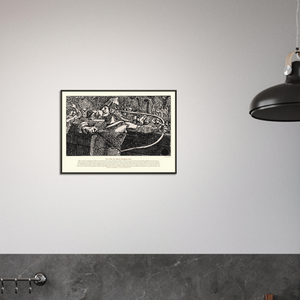 17d1cb39-c98d-414d-8e83-d216ac94bf08