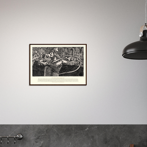 76407b4a-a36d-48c0-8607-300cf6c9e9b2