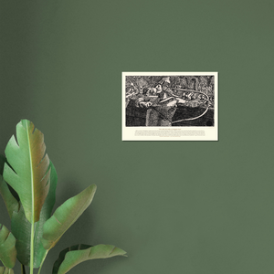 9c5d348e-6c15-4bcc-989f-2017bc277ec4