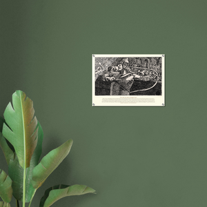 ae453d46-3690-4999-b392-30230c4dc8cc