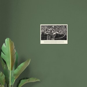 d9b64ba7-8eee-4df4-9bc7-3eaa628c3f44