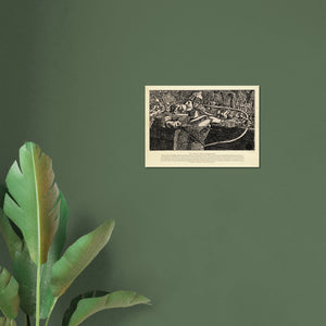 76aa0b0d-6c01-4636-aad2-f574c2a85245