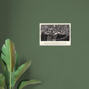 ba68e3e9-4b81-48df-9df3-97c08d848171